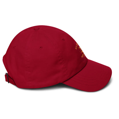 Air Force Seal v3.0 Dad hat