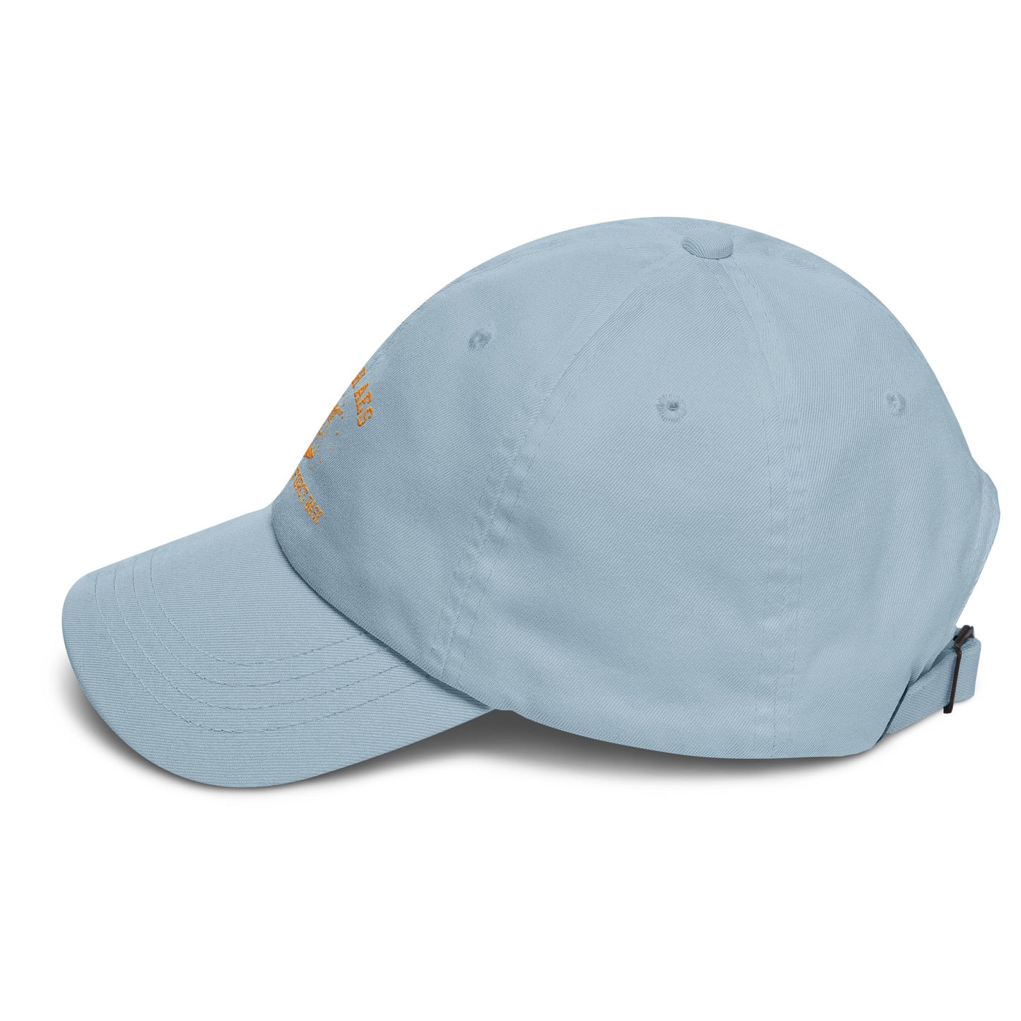 The Air Force Seal Dad hat