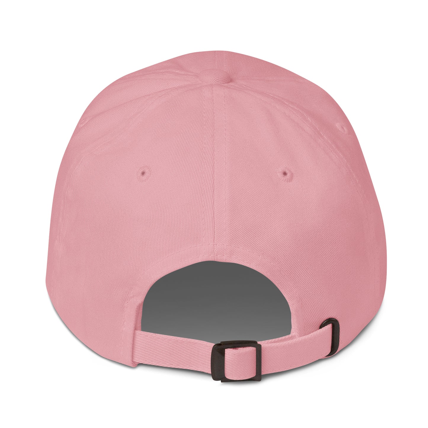 Air Force Seal v3.0 Dad hat
