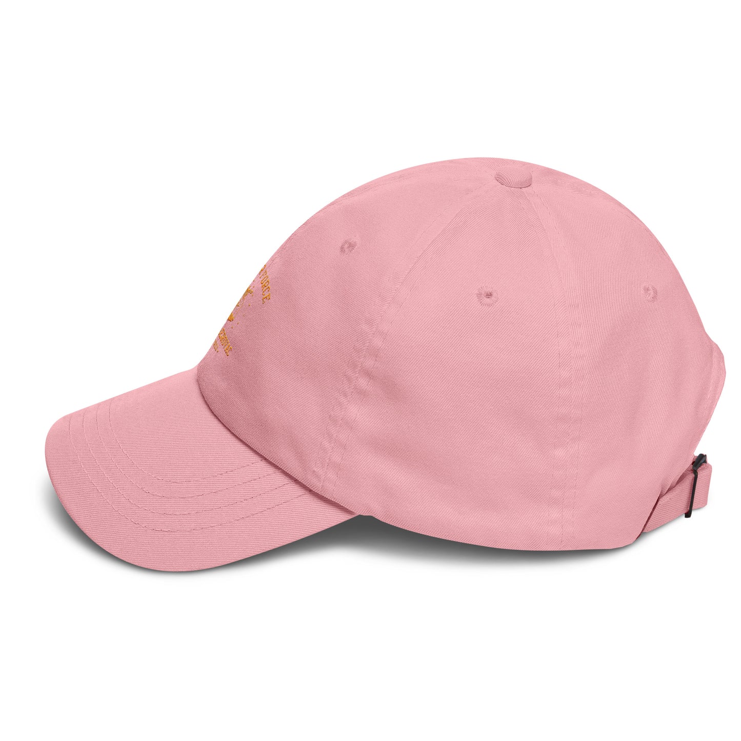 Air Force Seal v3.0 Dad hat