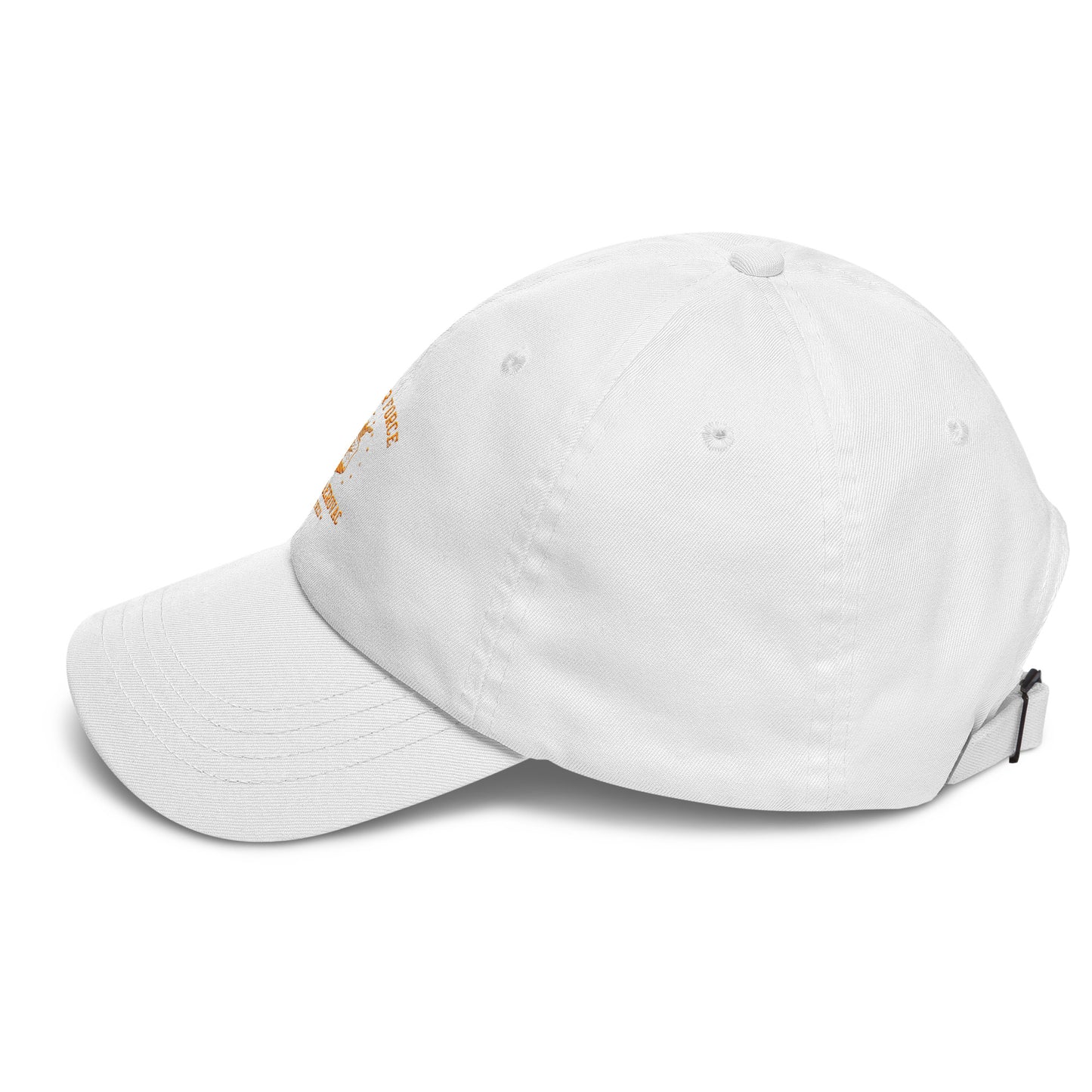 Air Force Seal v3.0 Dad hat