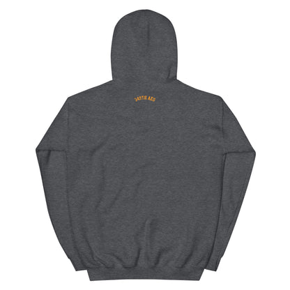 Air Force Seal Retired Unisex Hoodie