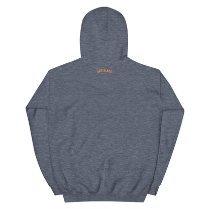 Air Force Seal Retired Unisex Hoodie