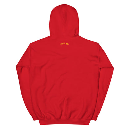 Air Force Seal Retired Unisex Hoodie