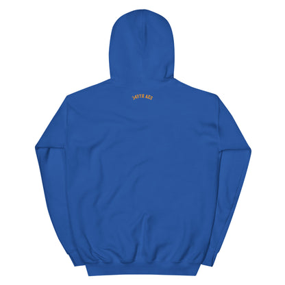 Air Force Seal Retired Unisex Hoodie